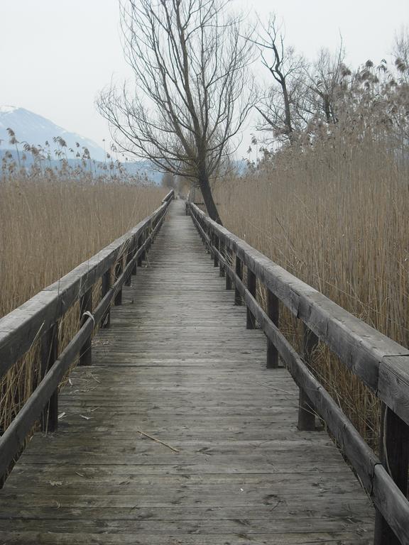 La Casa Sul Lago Posta Fibreno Buitenkant foto