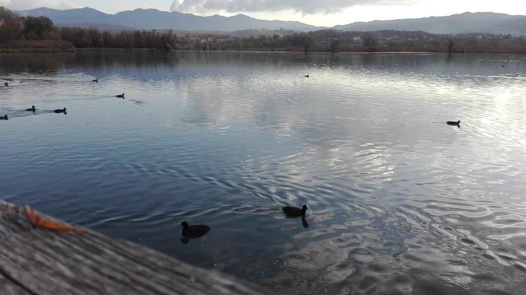 La Casa Sul Lago Posta Fibreno Buitenkant foto